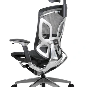 Эргономичное кресло GT Chair Dvary DV-10E GT-12