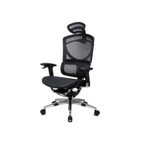 Эргономичное кресло GT Chair I-see SE-13D GT-12