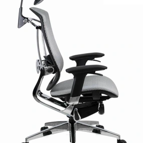 Эргономичное кресло GT Chair Marrit GT07-35D GT-25