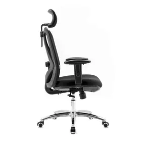 Эргономичное кресло Falto Viva (2D поясничный упор, сетка, ткань, чёрный)