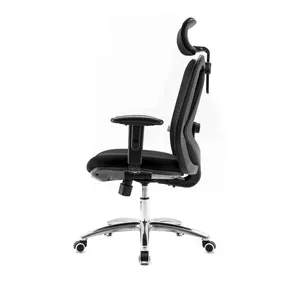 Эргономичное кресло Falto Viva (2D поясничный упор, сетка, ткань, чёрный)