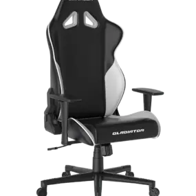 Геймерское кресло DXRacer OH/G2300/NW