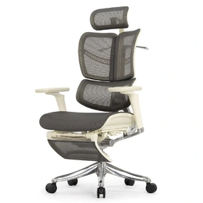 Анатомическое кресло Falto Fly 2 с подножкой (динамичный подголовник, подлокотники 6D (360), сетка, светлый)