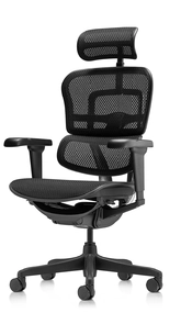Эргономичное кресло Falto Ergohuman 2 Ultra (наклон вперёд, сетка, чёрный)