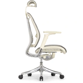 Эргономичное кресло Falto Spring 2 (поясничный валик, подлокотники 6D (360), сетка, светлый)