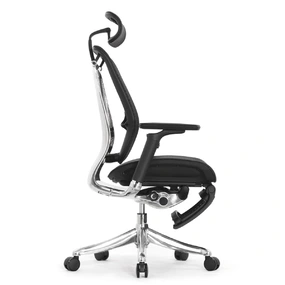 Эргономичное кресло Falto Spring 2 с подножкой (поясничный валик, подлокотники 6D (360), сетка, чёрный)