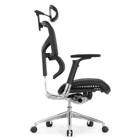 Эргономичное кресло Falto Sail 2 (динамичный поясничный упор, подлокотники 6D (360), сетка, чёрный)