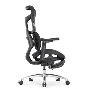Эргономичное кресло Falto Scala Office с подножкой (разделённый поясничный упор, сетка, чёрный)